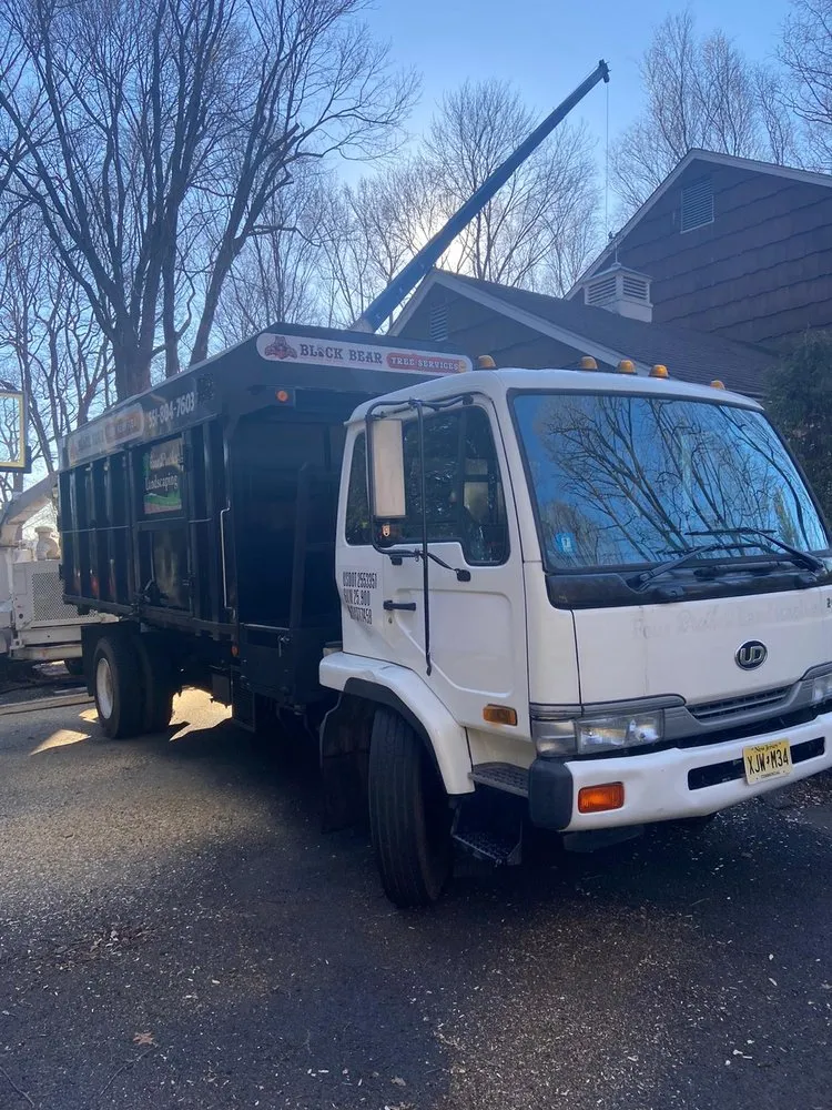 Expert lawn care service in Montvale, NJ - Black Bear Tree Services