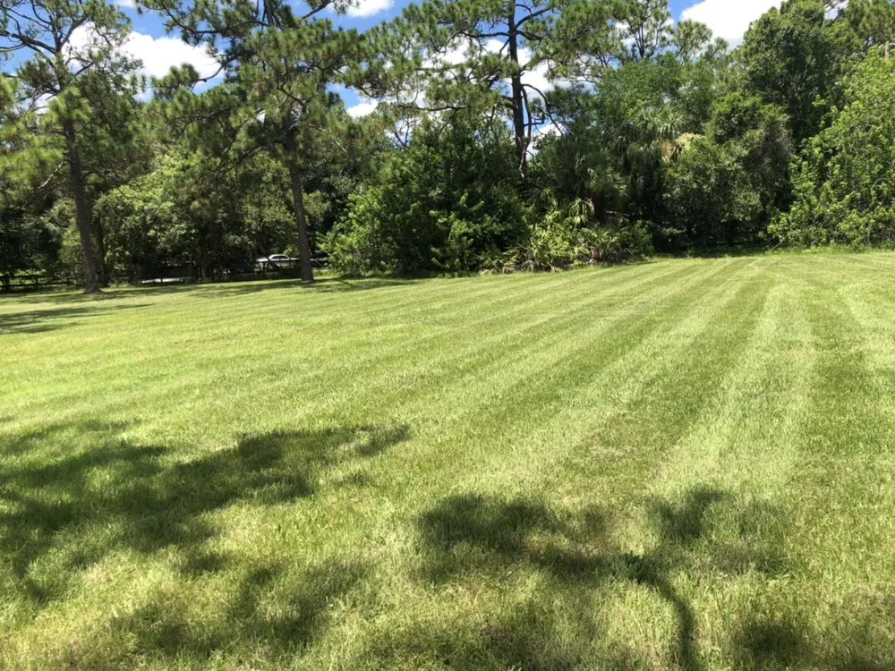 Professional yard cleanup service for residential properties across Delray Beach, FL - Black Beard Property Management