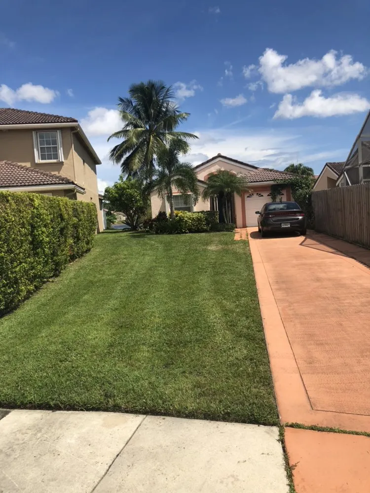 Professional yard cleanup service in Delray Beach, FL by Black Beard Property Management