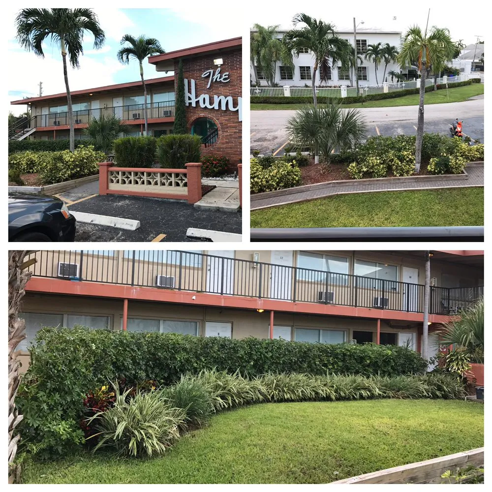 Local yard cleanup service experts serving Delray Beach, FL - Black Beard Property Management