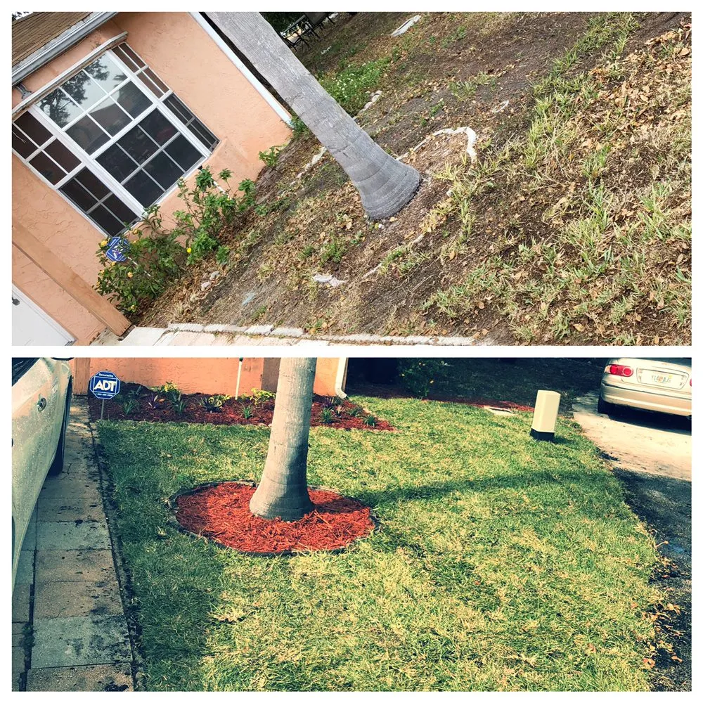 Custom landscape installation in Delray Beach, FL - Black Beard Property Management