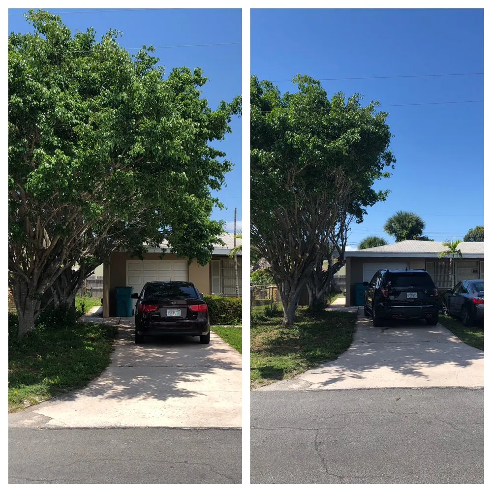 Expert landscaping services experts serving Delray Beach, FL - Black Beard Property Management