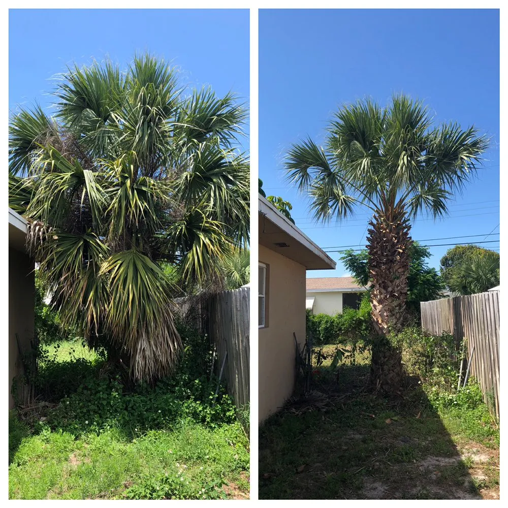 Top-rated outdoor landscaping in Delray Beach, FL - Black Beard Property Management