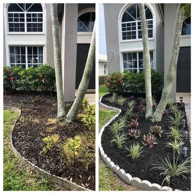 Black Beard Property Management Logo