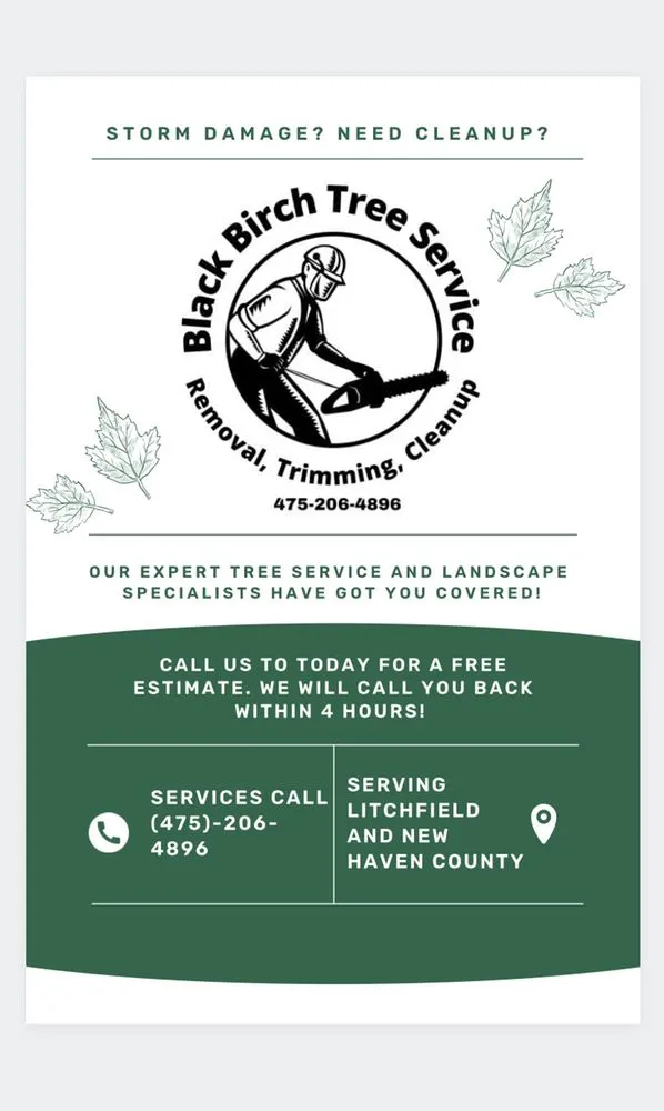 Reliable landscaping services in Litchfield, CT by Black Birch Tree Service