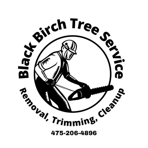 Affordable lawn care service with custom design across Litchfield, CT - Black Birch Tree Service