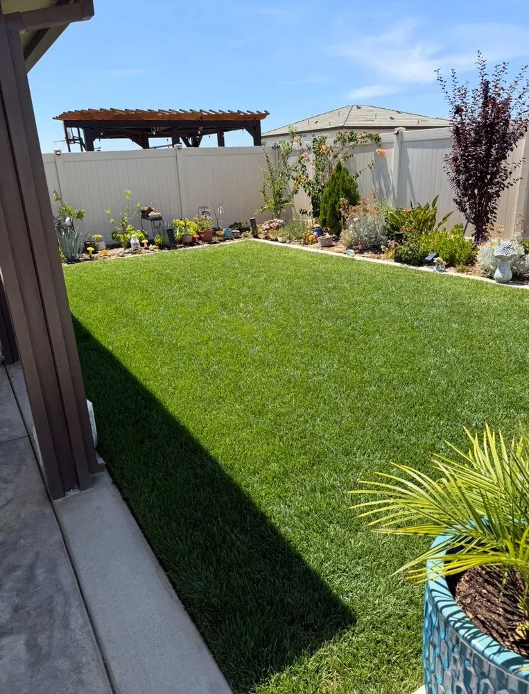 Affordable yard maintenance for residential properties in Homeland, CA by Black Boot Construction