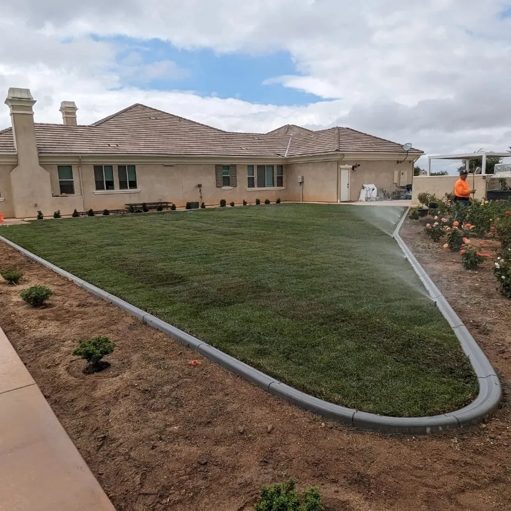 Top-rated yard cleanup service for homes in Homeland, CA by Black Boot Construction