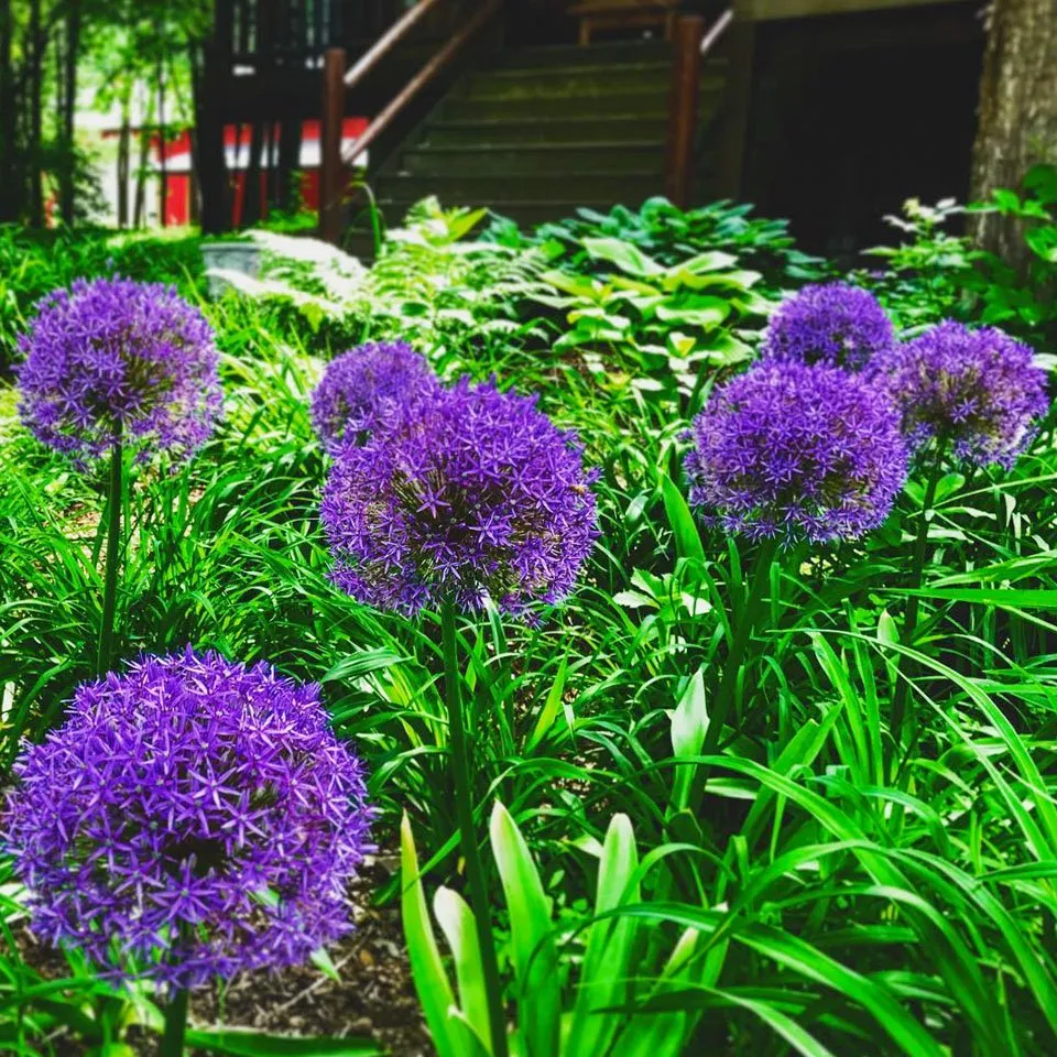 Top-rated landscape installation experts serving Deer Park, WI - Black Brook Lawn & Landscaping