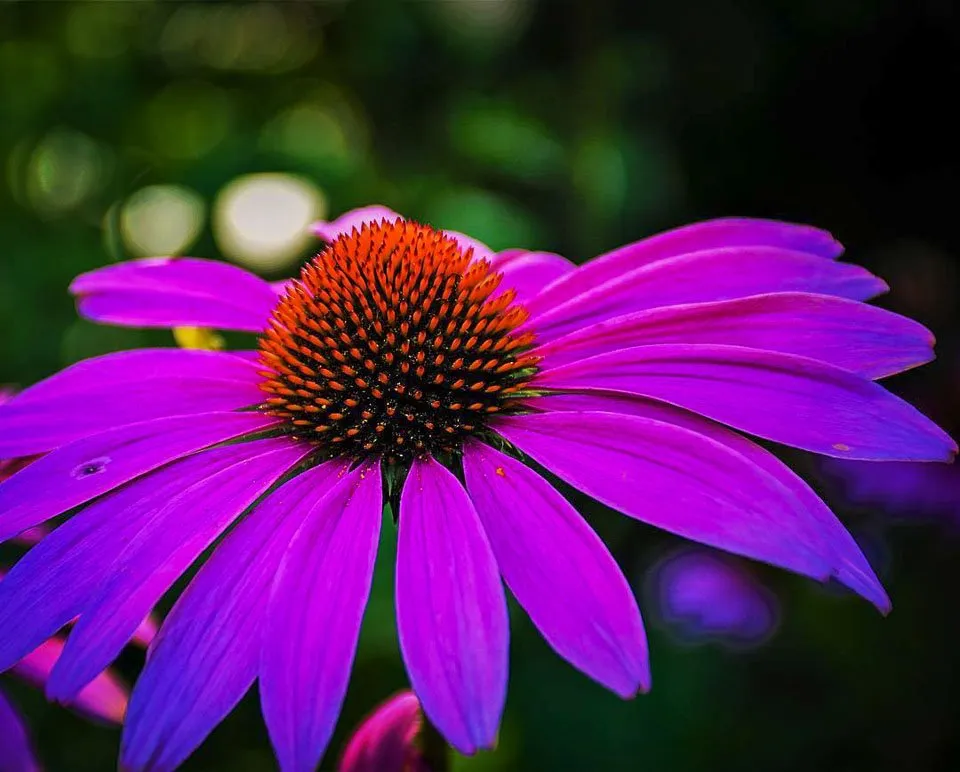 Reliable landscape design for beautiful yards across Deer Park, WI - Black Brook Lawn & Landscaping