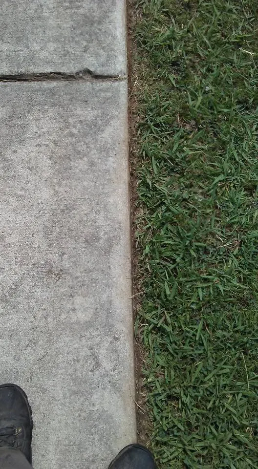 Local outdoor landscaping in Moody, AL by Black Brothers Lawn Service