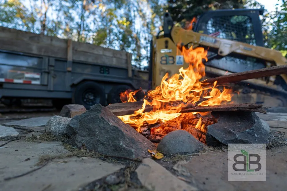 Trusted yard cleanup service in Inver Grove Heights, MN - Black Bull Landscapes
