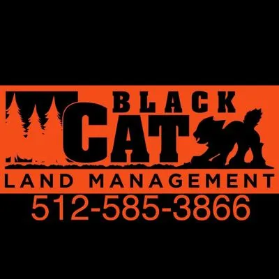 Black Cat Land Management Logo