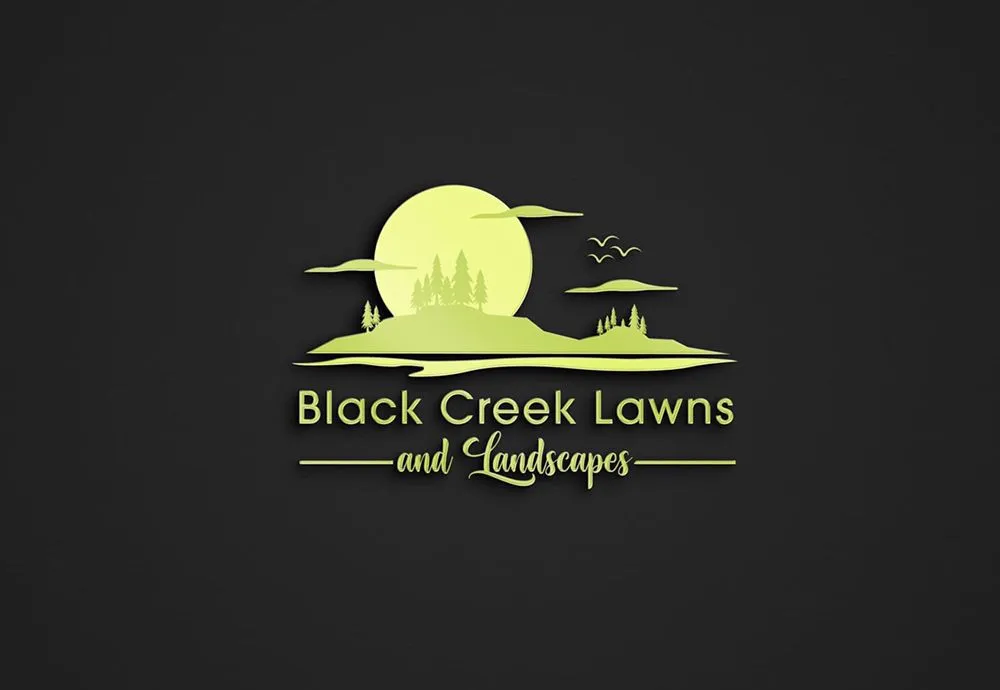 Expert yard cleanup service in Hartsville, SC by Black Creek Lawns and Landscapes