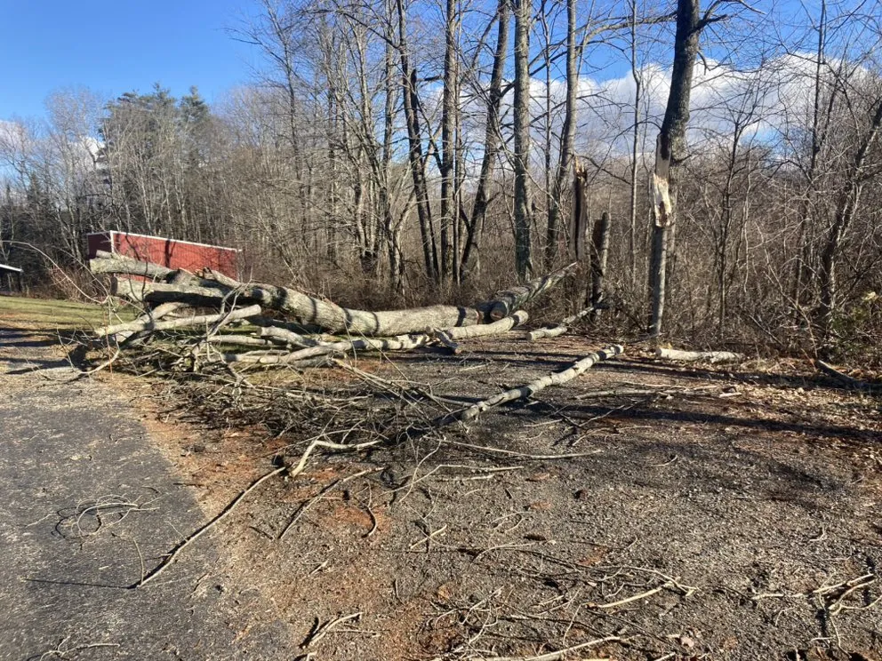 Custom yard cleanup service near you across Dayton, ME - Black Diamond Asphalt