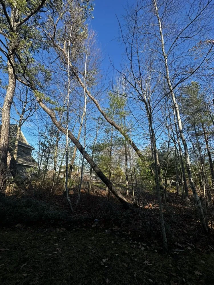 Reliable lawn care service experts serving Dayton, ME - Black Diamond Asphalt