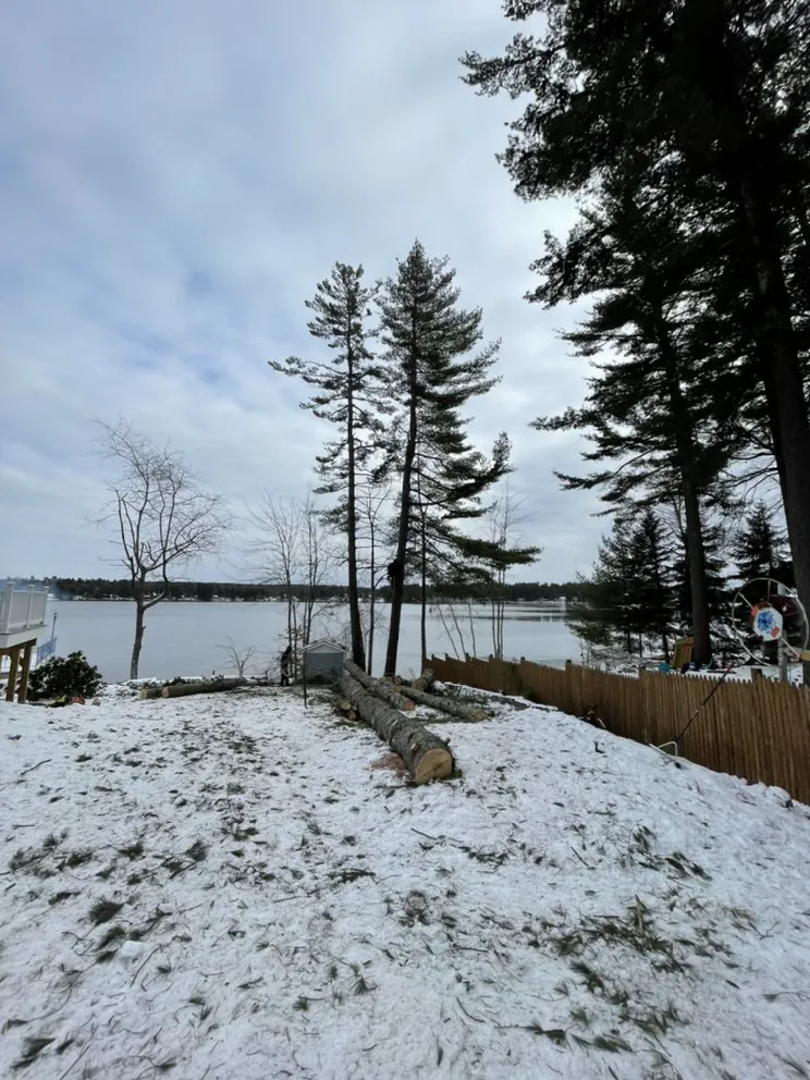 Custom yard cleanup service experts serving Dayton, ME - Black Diamond Asphalt