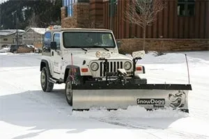 Top-rated yard cleanup service in Eagle, CO by Black Diamond