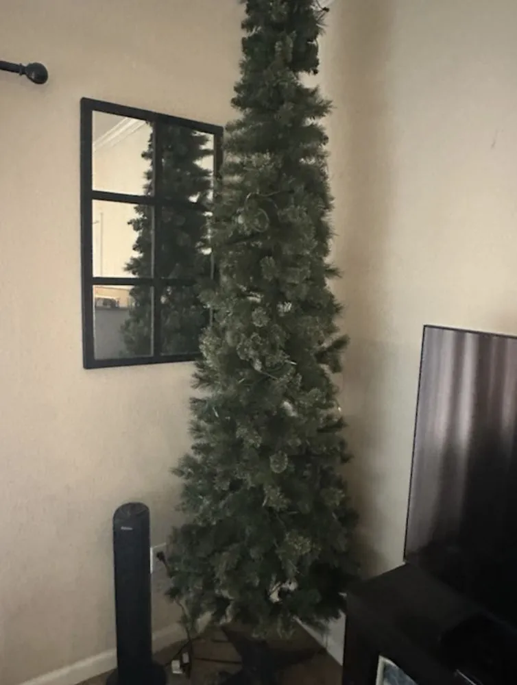 Trusted landscaping services experts serving Stockton, CA - Black Diamond Junk Haul