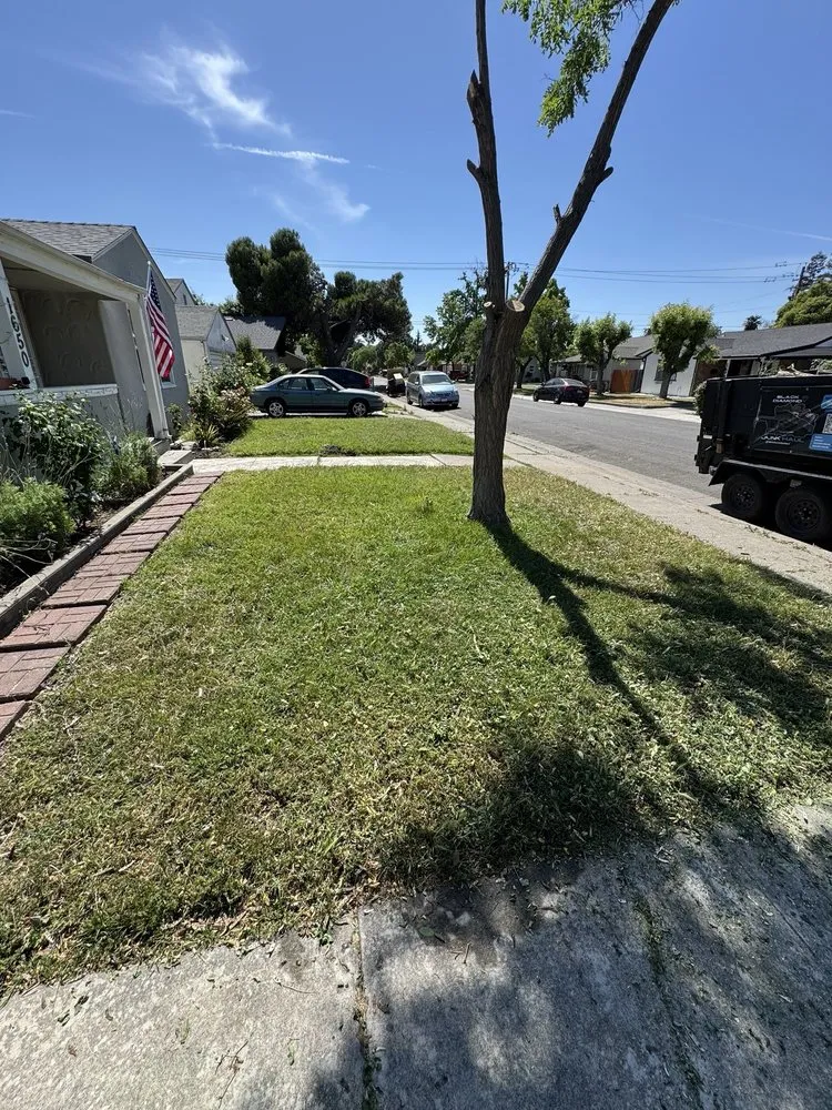 Trusted lawn mowing service in Stockton, CA - Black Diamond Junk Haul
