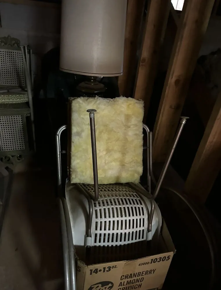 Trusted yard maintenance for residential properties in Stockton, CA by Black Diamond Junk Haul