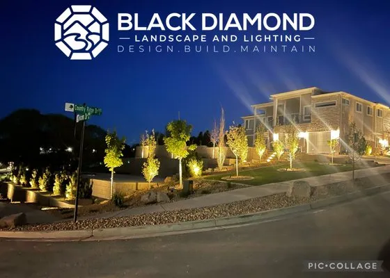 Black Diamond Landscape and Lighting Logo