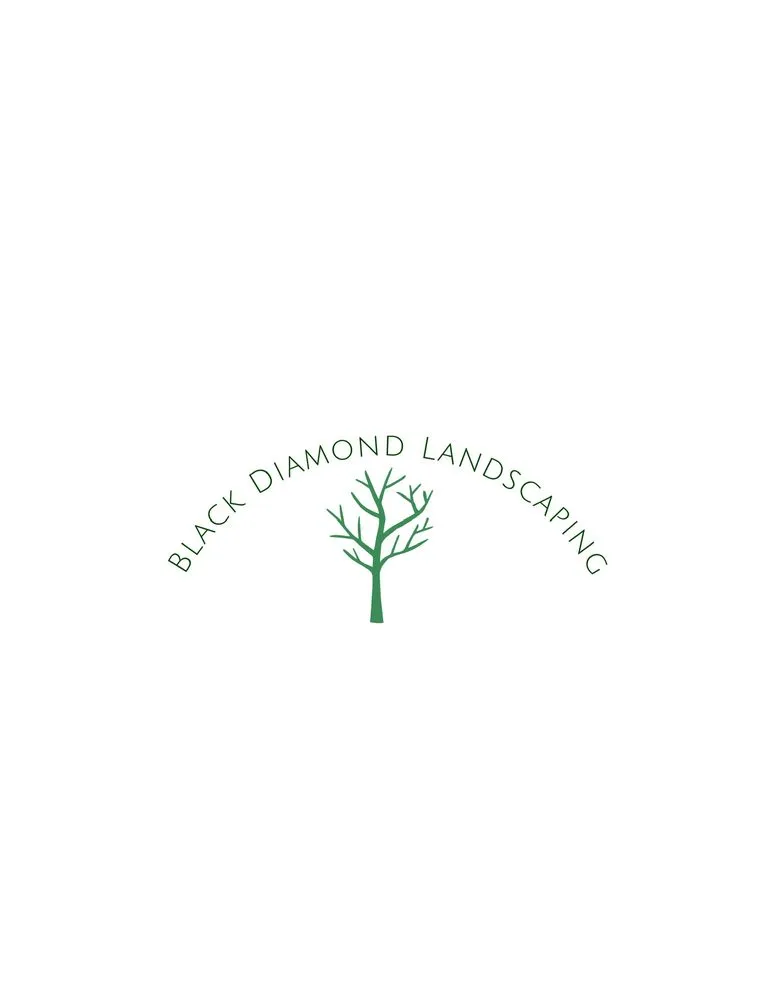 Top-rated landscape installation experts serving Black Diamond, WA - Black Diamond Landscape