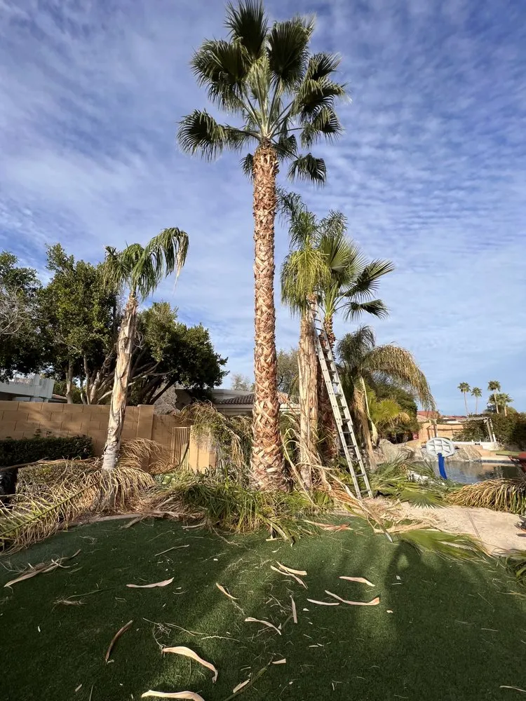 Reliable landscaping services in Chandler, AZ - Black Diamond Landscape