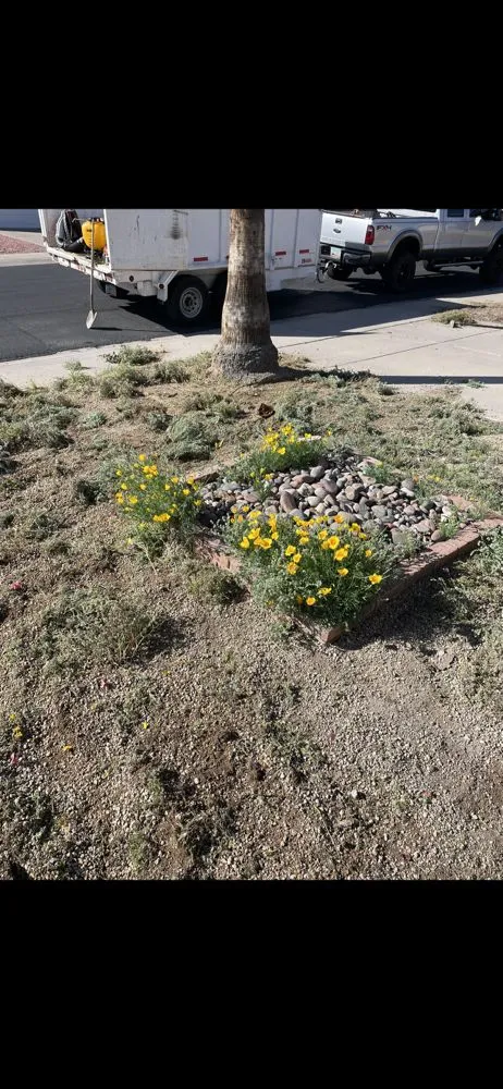 Custom lawn care service in Chandler, AZ - Black Diamond Landscape