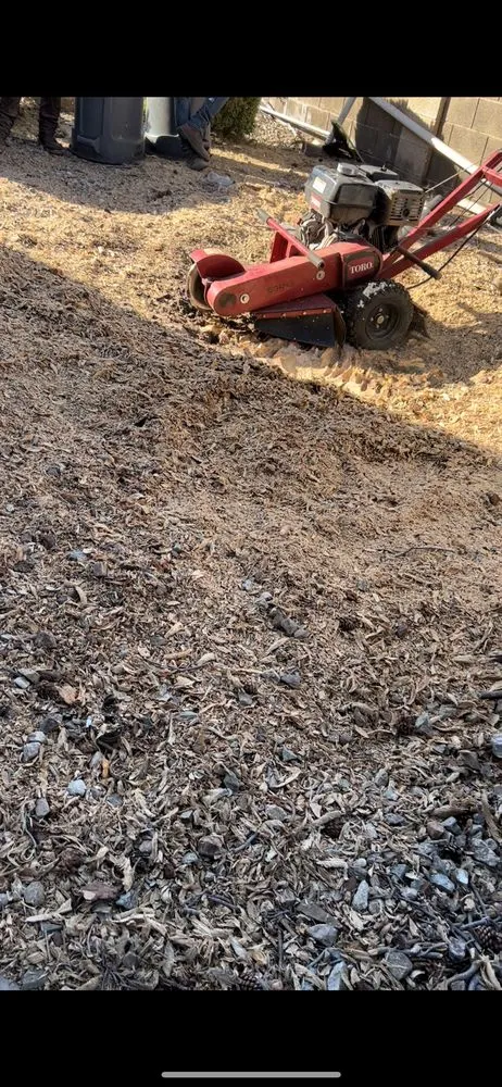 Trusted lawn mowing service in Chandler, AZ - Black Diamond Landscape