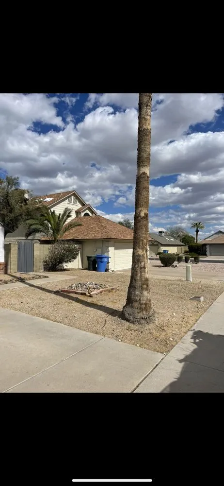 Trusted landscape installation in Chandler, AZ - Black Diamond Landscape