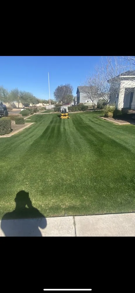 Affordable lawn mowing service for residential properties in Chandler, AZ by Black Diamond Landscape