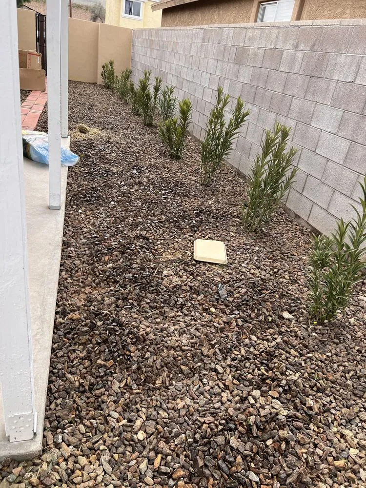 Reliable outdoor landscaping in Chandler, AZ - Black Diamond Landscape