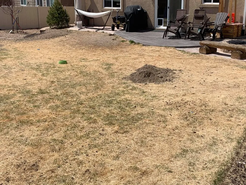 Professional garden landscaping in Colorado Springs, CO by Black Diamond Landscapes