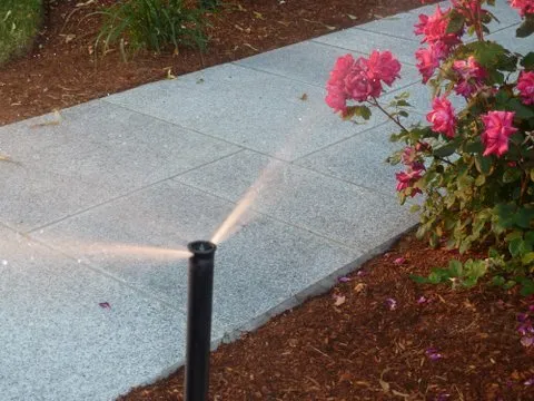 Local lawn care service for year-round maintenance across Woburn, MA - Black Diamond Landscapes