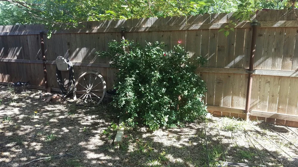 Professional outdoor landscaping experts serving Abilene, TX - Black Diamond Landscaping