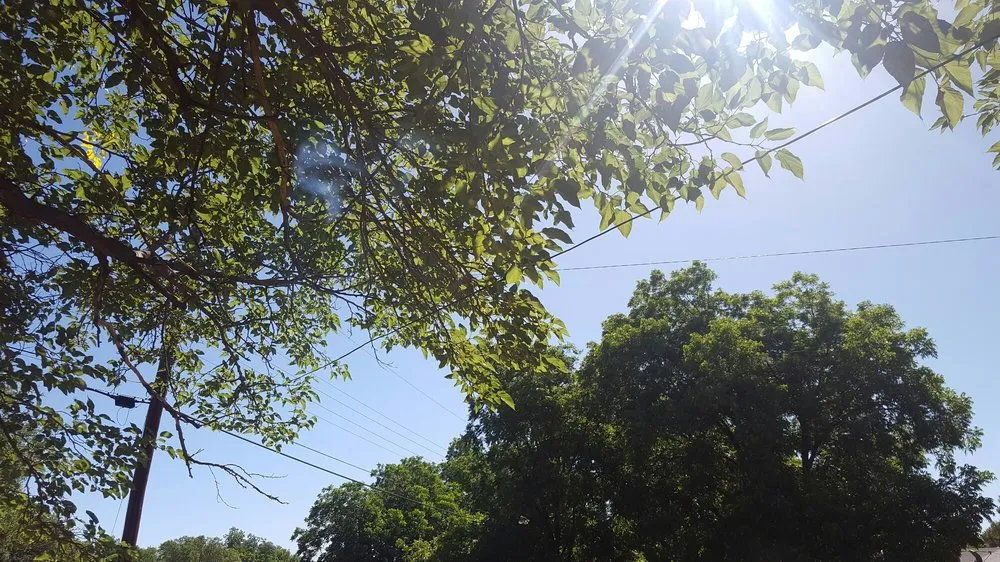 Trusted residential landscaping near you across Abilene, TX - Black Diamond Landscaping