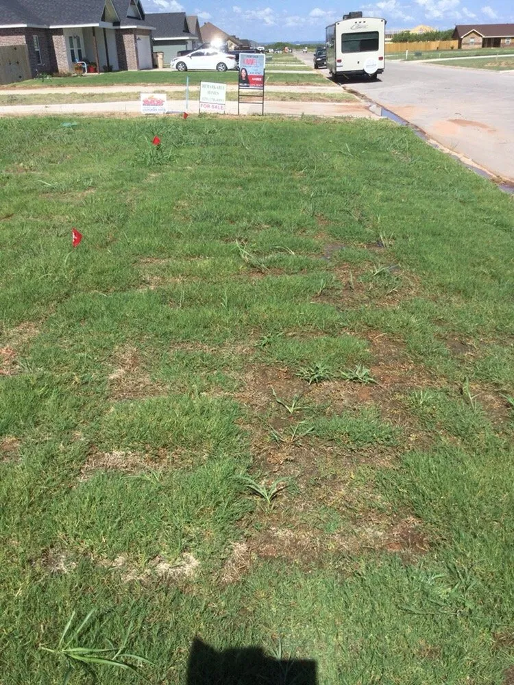 Local yard maintenance for outdoor upgrades across Abilene, TX - Black Diamond Landscaping