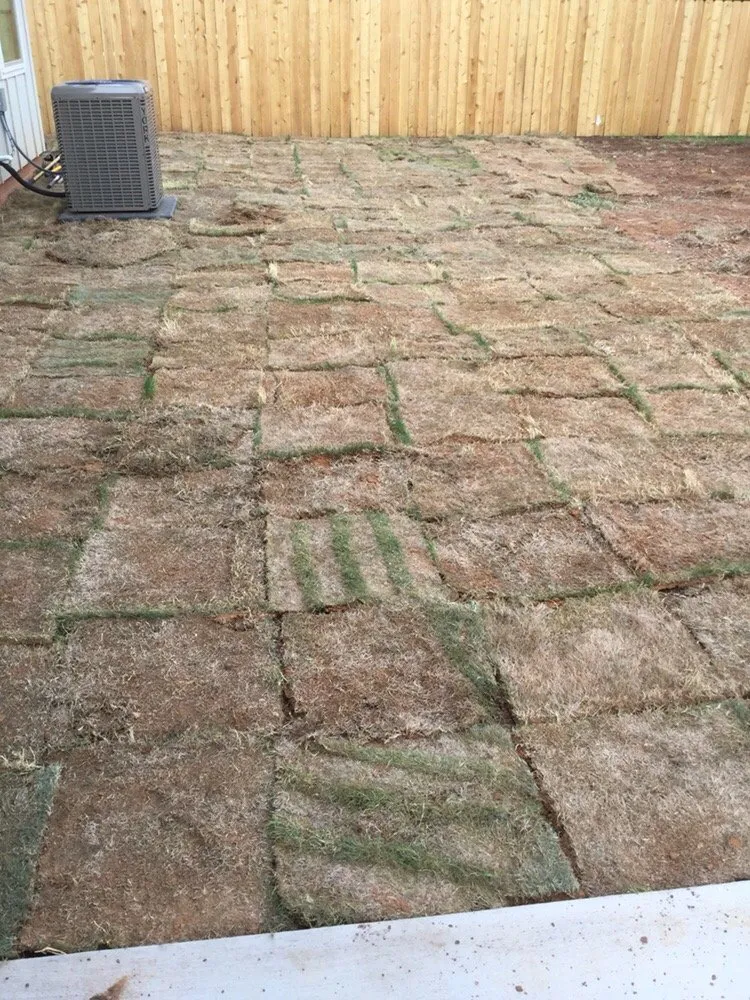 Top-rated lawn mowing service in Abilene, TX by Black Diamond Landscaping