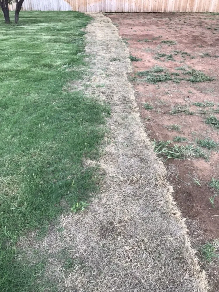 Local landscape design experts serving Abilene, TX - Black Diamond Landscaping