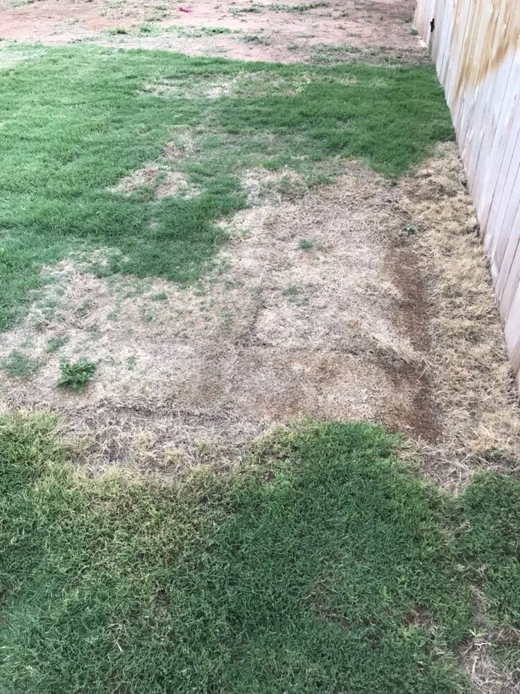 Custom yard maintenance experts serving Abilene, TX - Black Diamond Landscaping