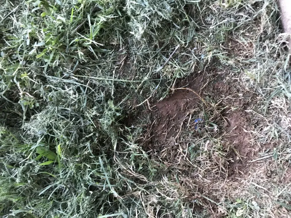 Trusted garden landscaping in Abilene, TX by Black Diamond Landscaping