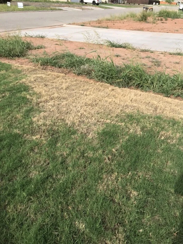 Affordable landscaping services in Abilene, TX by Black Diamond Landscaping