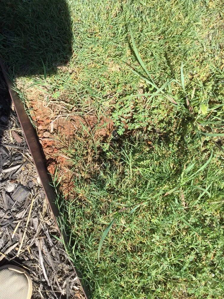 Reliable lawn care service in Abilene, TX by Black Diamond Landscaping