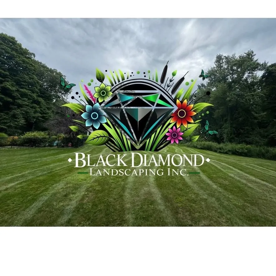Custom lawn care service in Hyde Park, NY by Black Diamond Landscaping