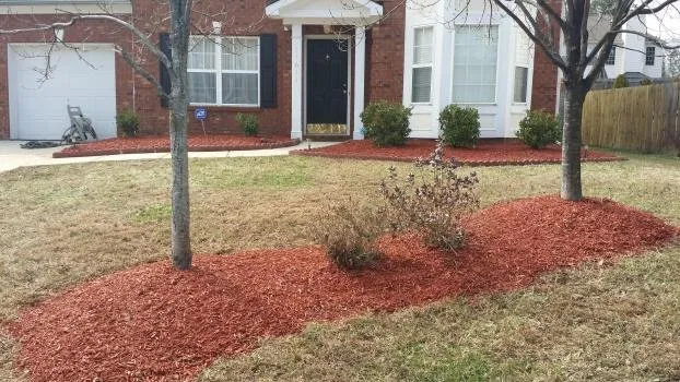 Top-rated yard maintenance for beautiful yards in Charlotte, NC by Black Diamond Lawn Service