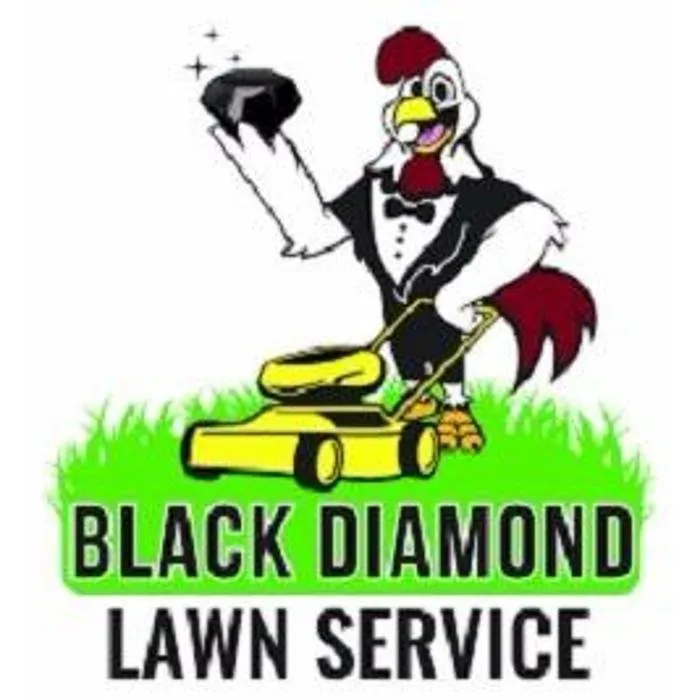 Affordable landscaping services in Charlotte, NC - Black Diamond Lawn Service