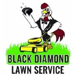 Expert landscape installation with custom design across Charlotte, NC - Black Diamond Lawn Service