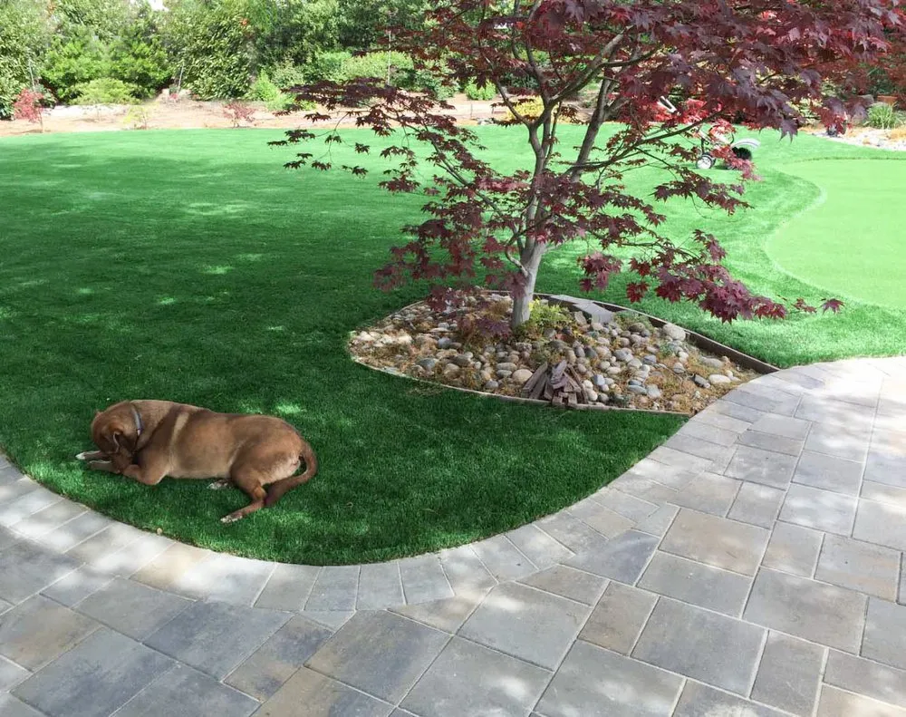Top-rated landscaping services for year-round maintenance in Irvine, CA by Black Diamond Paver Stones & Landscape
