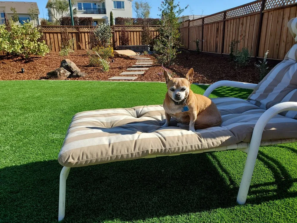 Professional residential landscaping experts serving Sacramento, CA - Black Diamond Paver Stones & Landscape